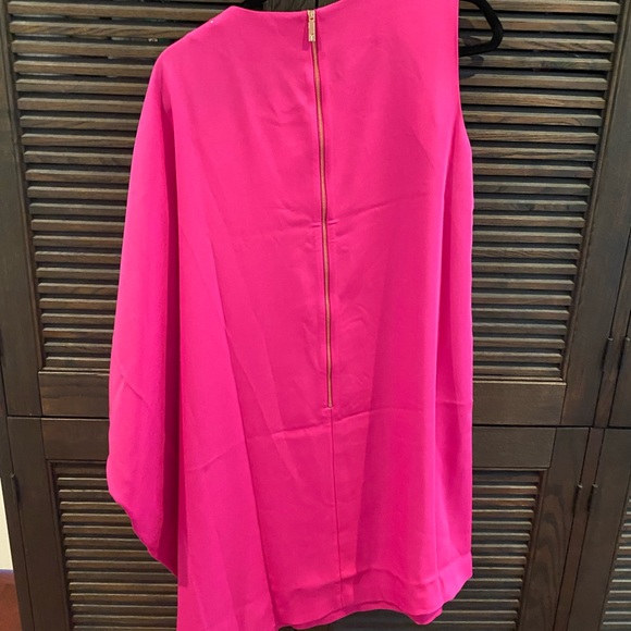 Beautiful fuchsia Ted Baker Brand New Dress - Picture 8 of 14